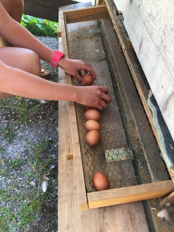 Haus Sonnleitner Apartman Ramsau am Dachstein Kültér fotó