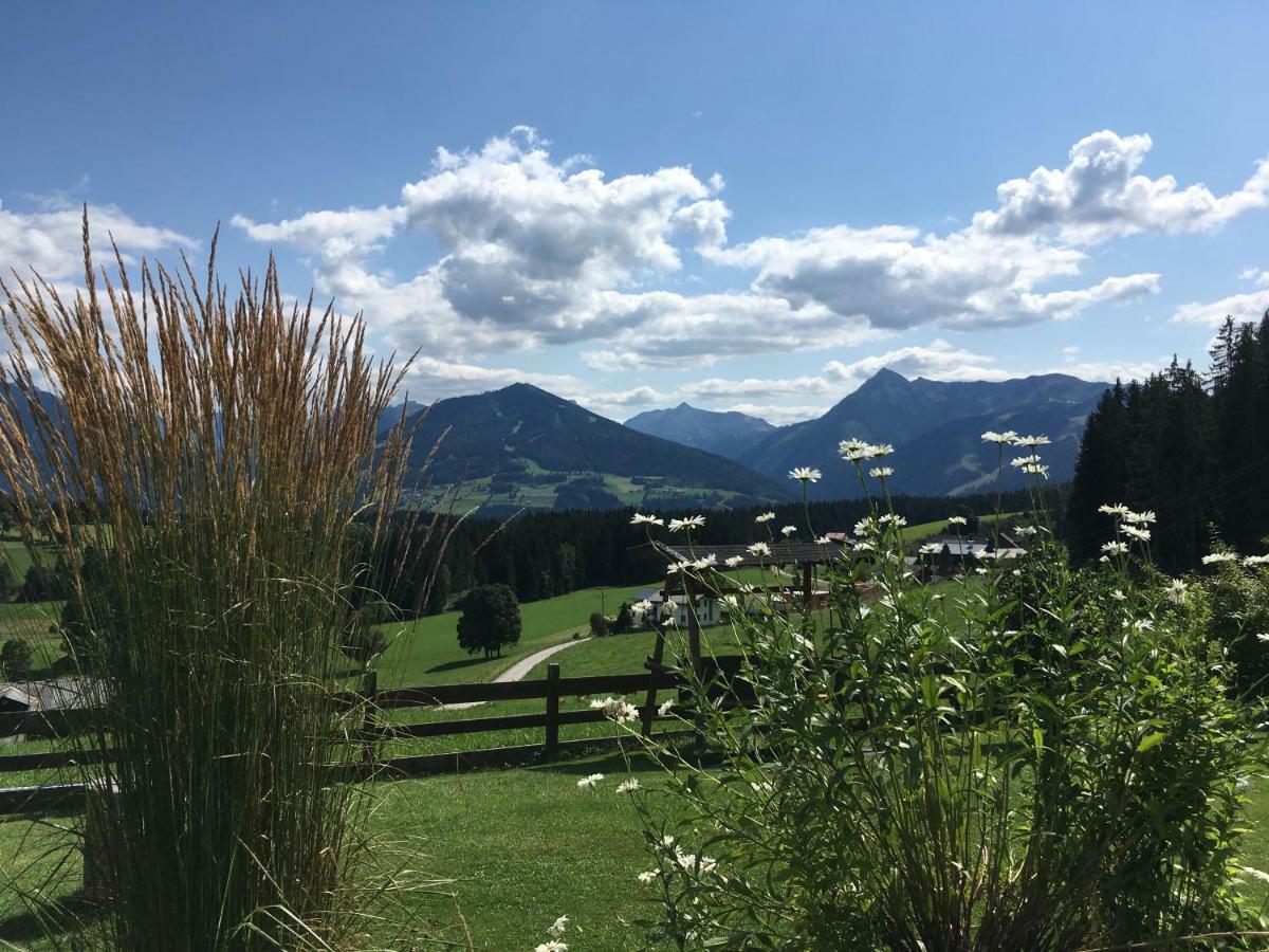 Haus Sonnleitner Apartman Ramsau am Dachstein Kültér fotó